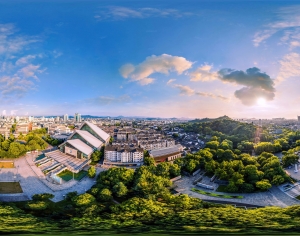 HDR晨曦黄昏城市全景-ID:250630438