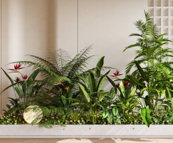 Modern Plant Landscaping-ID:647480018