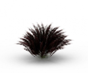 Modern Plant-ID:176104071