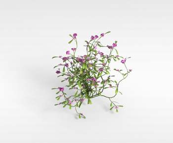 Modern Flowers And Grass-ID:242682934