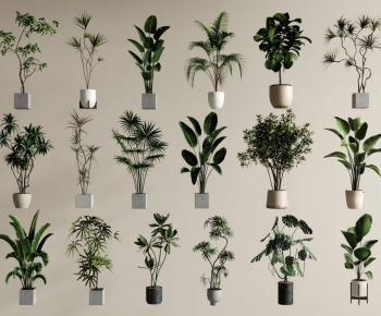 Modern Ground Green Plant Potted Plants-ID:365674973