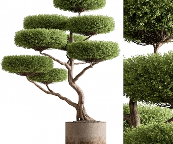 Modern Ground Green Plant Potted Plants-ID:992583995