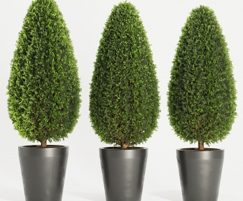 Modern Ground Green Plant Potted Plants-ID:948829891