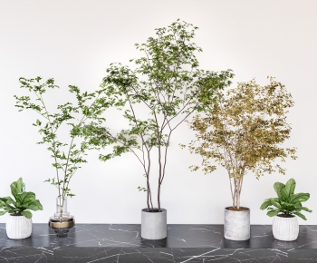 Modern Ground Green Plant Potted Plants-ID:447073944