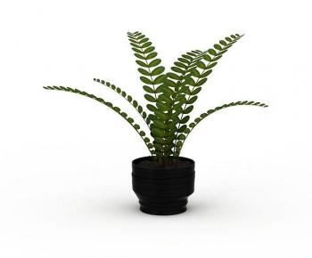 Modern Potted Green Plant-ID:297225954