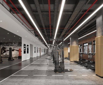 Modern Gym-ID:785849092