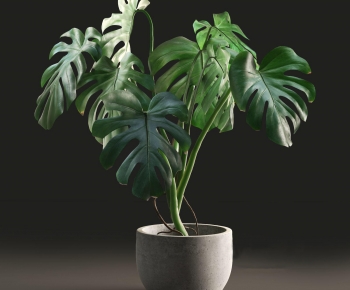 Modern Ground Green Plant Potted Plants-ID:880033976