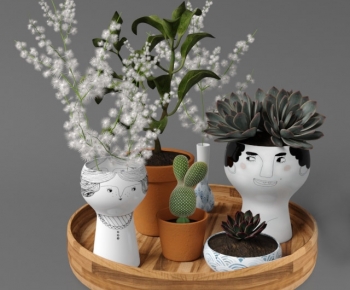 现代多肉植物桌面盆栽组合-ID:589339974