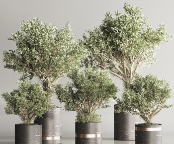 Modern Ground Green Plant Potted Plants-ID:425393107