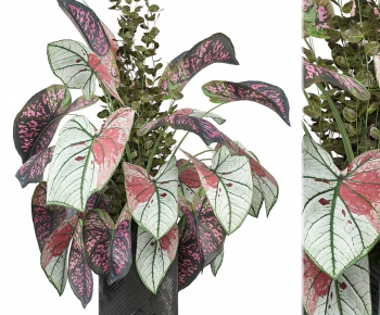 Modern Potted Green Plant-ID:629050975