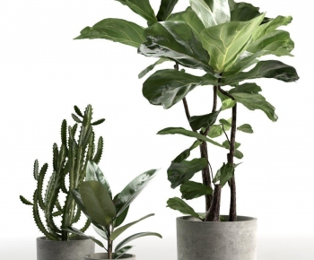 Modern Ground Green Plant Potted Plants-ID:231992019