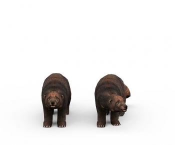 Modern Mammal-ID:763470896