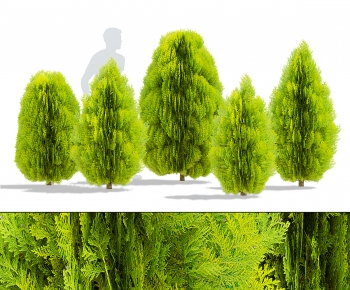 Modern Tree-ID:575737959