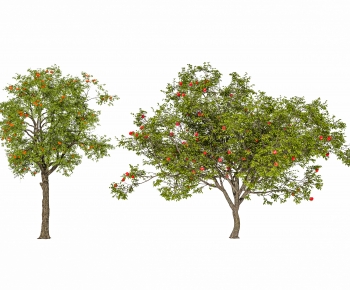 Modern Tree-ID:328789951