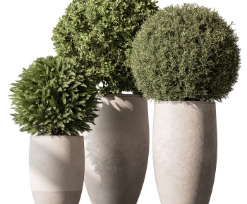 Modern Ground Green Plant Potted Plants-ID:369797956