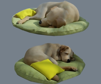 Modern Animal Dog-ID:310564993