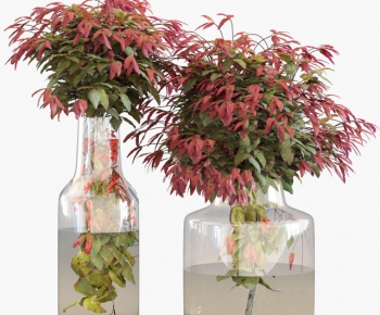 现代玻璃花瓶水生绿植组合-ID:460939457