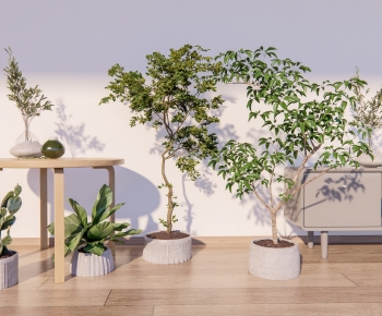 Modern Ground Green Plant Potted Plants-ID:280476092