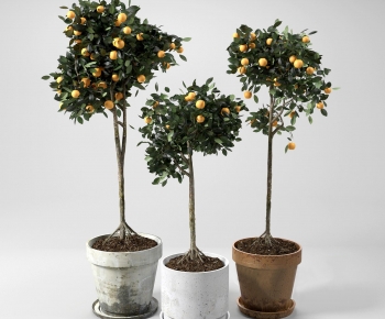 Modern Ground Green Plant Potted Plants-ID:971045979