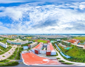 HDR城市建筑鸟瞰全景-ID:858457099