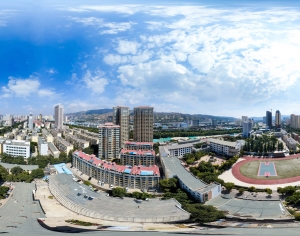 HDR城市建筑鸟瞰全景-ID:641303067