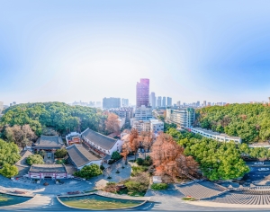 HDR城市建筑鸟瞰全景-ID:958621036
