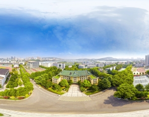 HDR城市建筑鸟瞰全景-ID:310039048