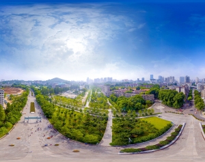 HDR城市建筑鸟瞰全景-ID:541558038