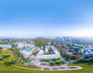 HDR城市建筑鸟瞰全景-ID:595478064