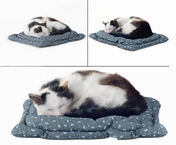 Modern Animal Cat-ID:407181021