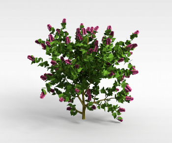 Modern Flowers And Grass-ID:313385012