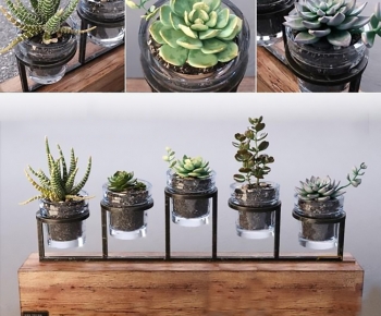 Modern Potted Green Plant-ID:743083004