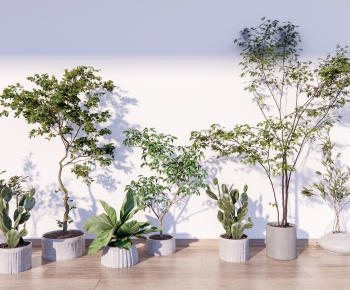 Modern Ground Green Plant Potted Plants-ID:793031938