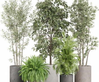 Modern Ground Green Plant Potted Plants-ID:598665952