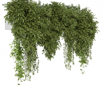 Modern Vine-ID:299098014