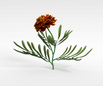 Modern Flowers And Grass-ID:471177102