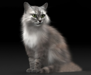 Modern Animal Cat-ID:948362111