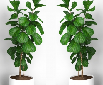 Modern Ground Green Plant Potted Plants-ID:511534931