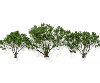 Modern Shrubbery-ID:563951025