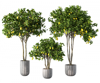 Modern Ground Green Plant Potted Plants-ID:386085032