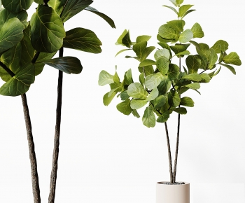 Modern Ground Green Plant Potted Plants-ID:570759067
