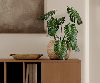 Modern Potted Green Plant-ID:359992986