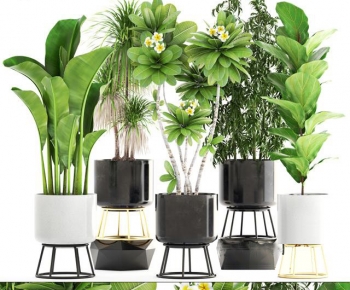 Modern Ground Green Plant Potted Plants-ID:710683119