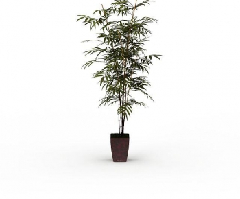 Modern Ground Green Plant Potted Plants-ID:134410934