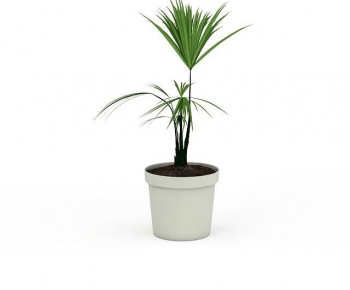 Modern Potted Green Plant-ID:269412046
