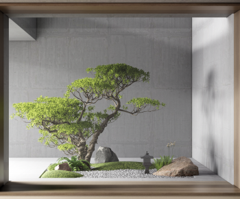 Modern Plant Landscaping-ID:972429992