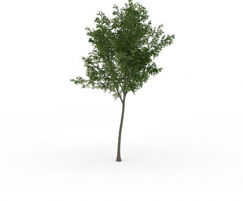 Modern Tree-ID:787770032