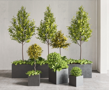 Modern Ground Green Plant Potted Plants-ID:520119719
