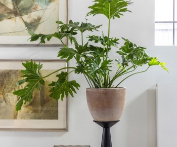 Modern Potted Green Plant-ID:607501989