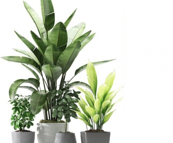 Modern Ground Green Plant Potted Plants-ID:985306989